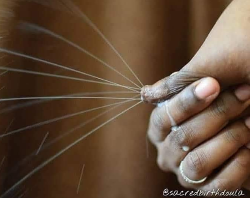 Apartés Grandir Nature